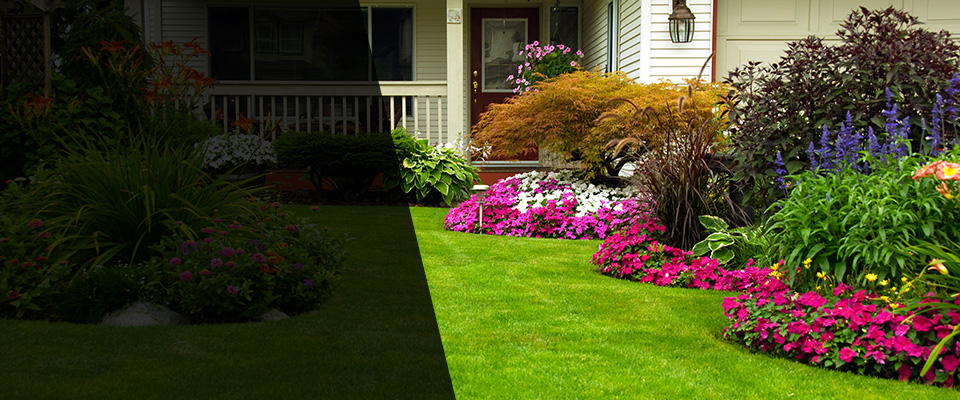 Immokalee Landscapers