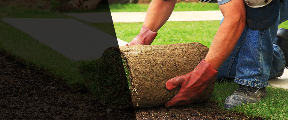 Immokalee Landscapers